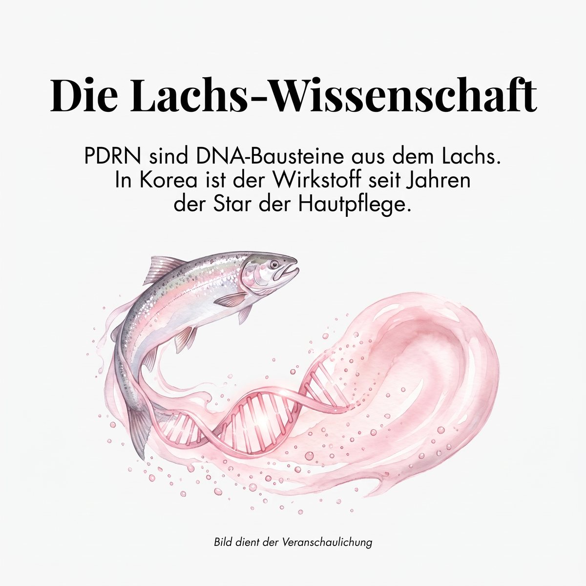 Die Lachs-Wissenschaft